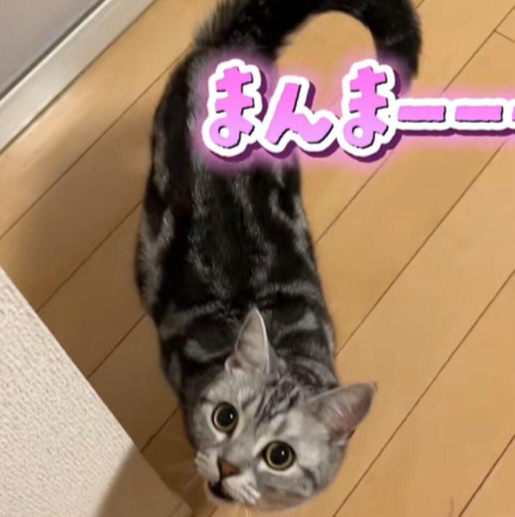 「ママ」と言っているかのよう（＠airu.house1224さんより提供）