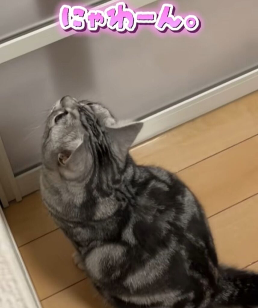 ドアの向こうのママさんに（＠airu.house1224さんより提供）