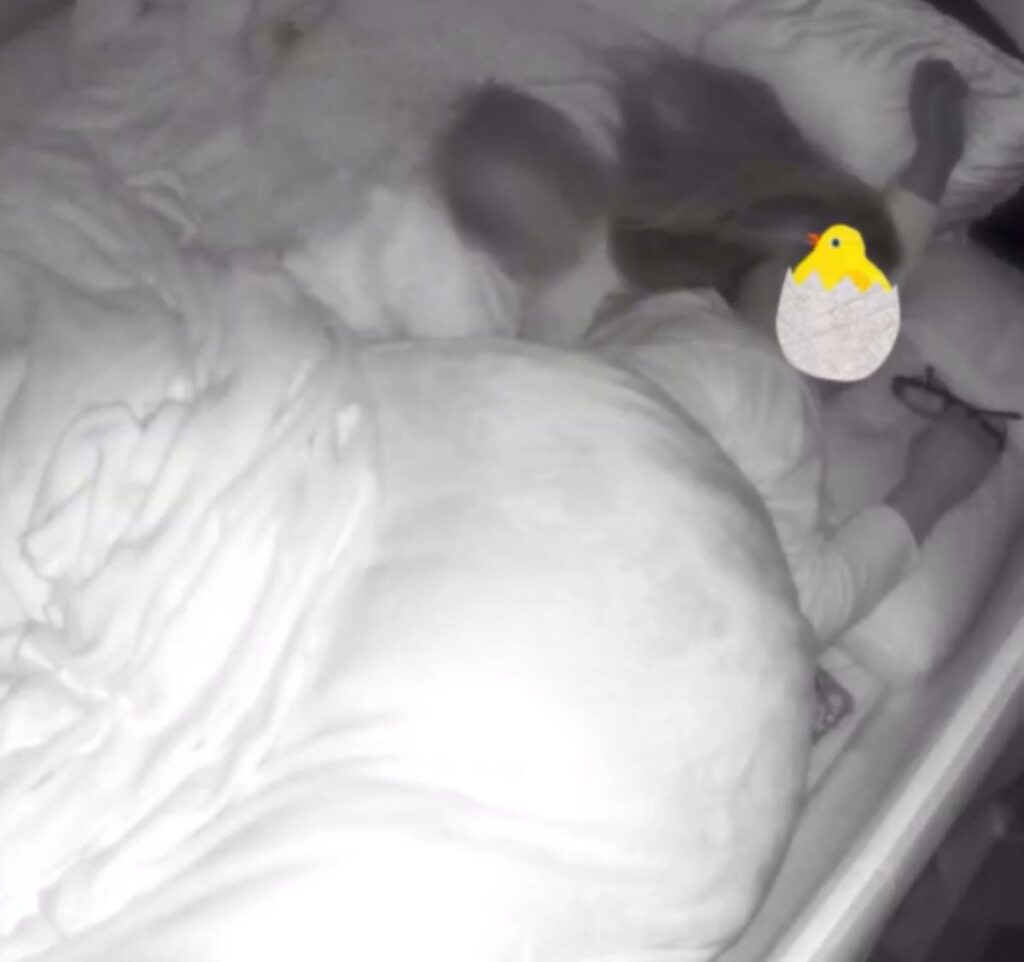 そっと寄り添いました（うさちょんさんより提供）