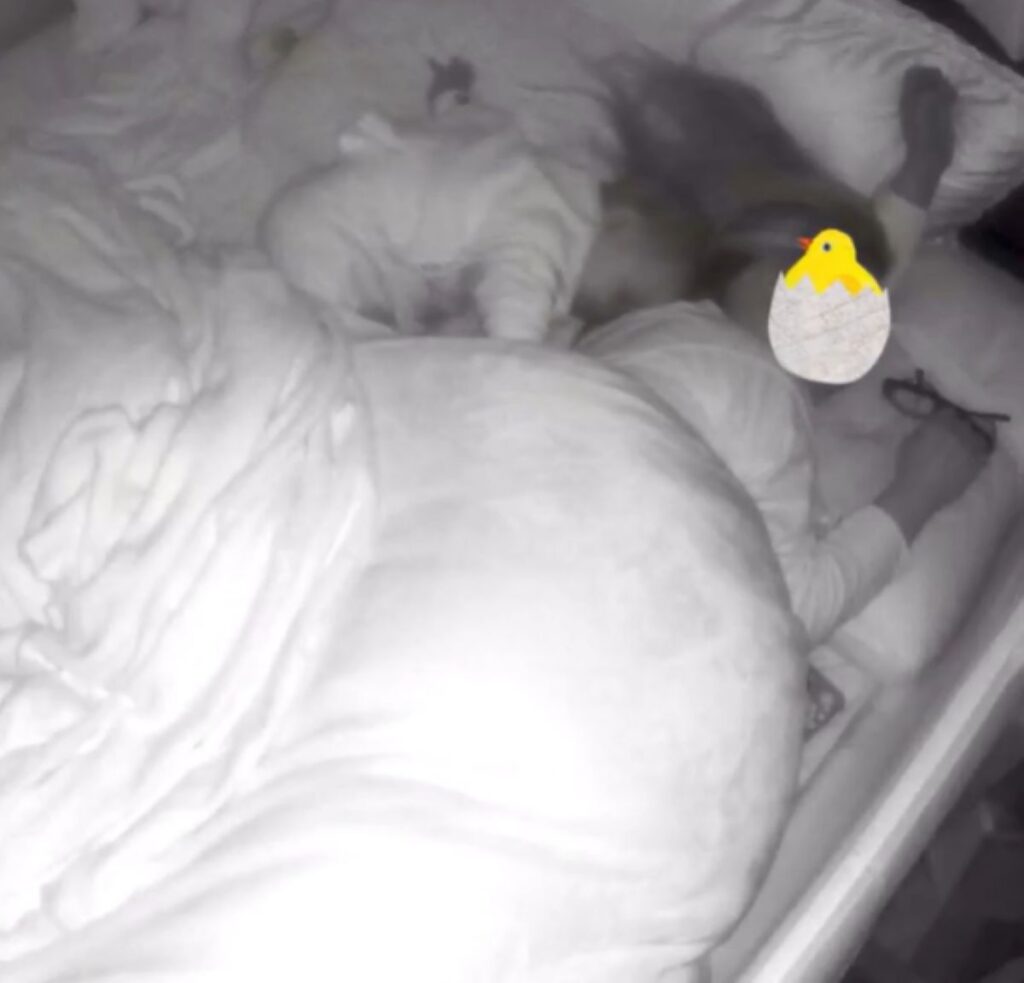 頭をうずめる娘さん（うさちょんさんより提供）