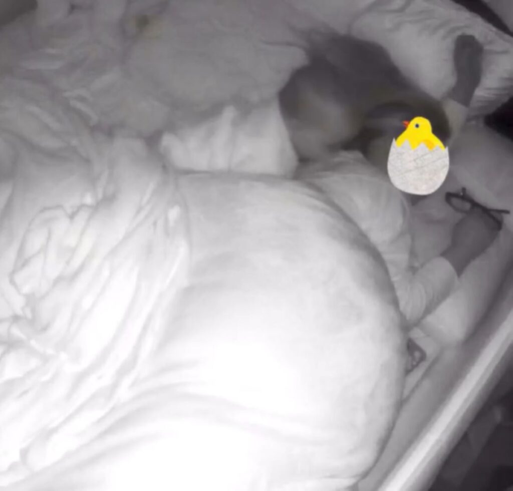 【実際の写真5枚】　ママが見た光景