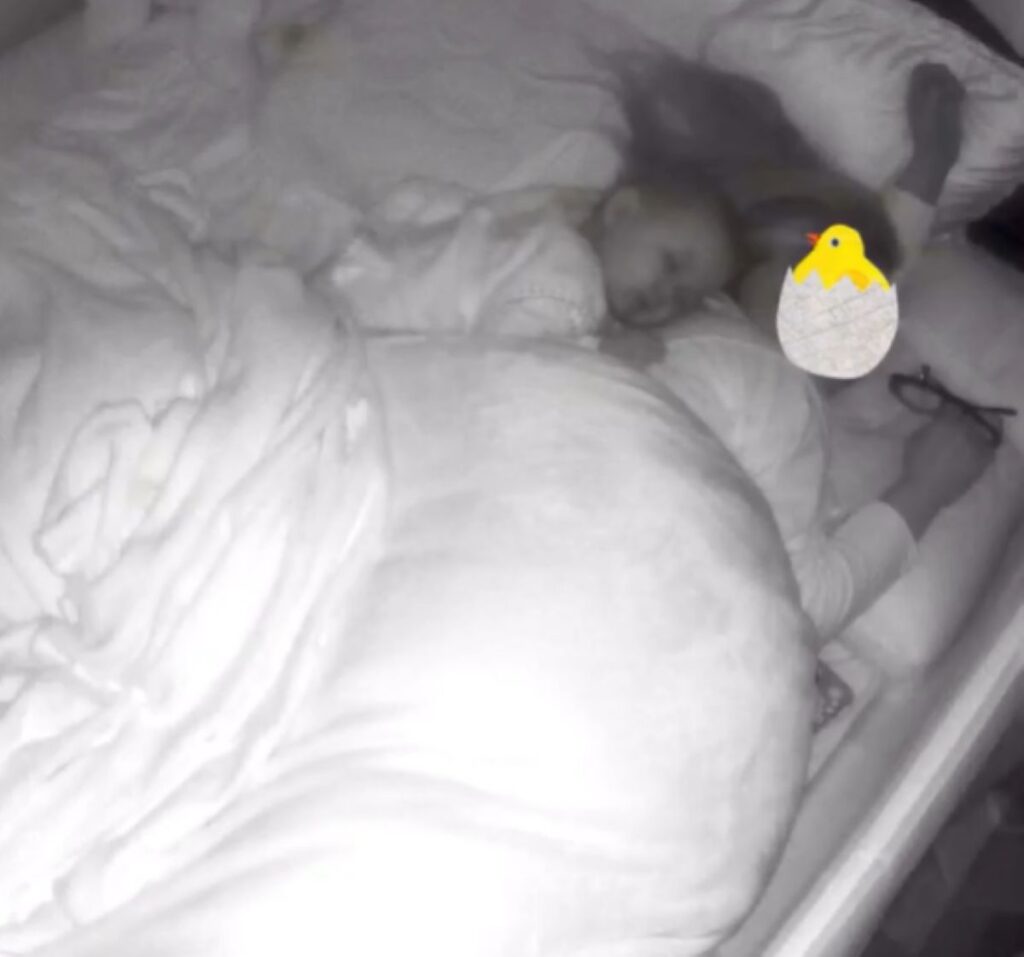 再び寝てしまった娘さん（うさちょんさんより提供）