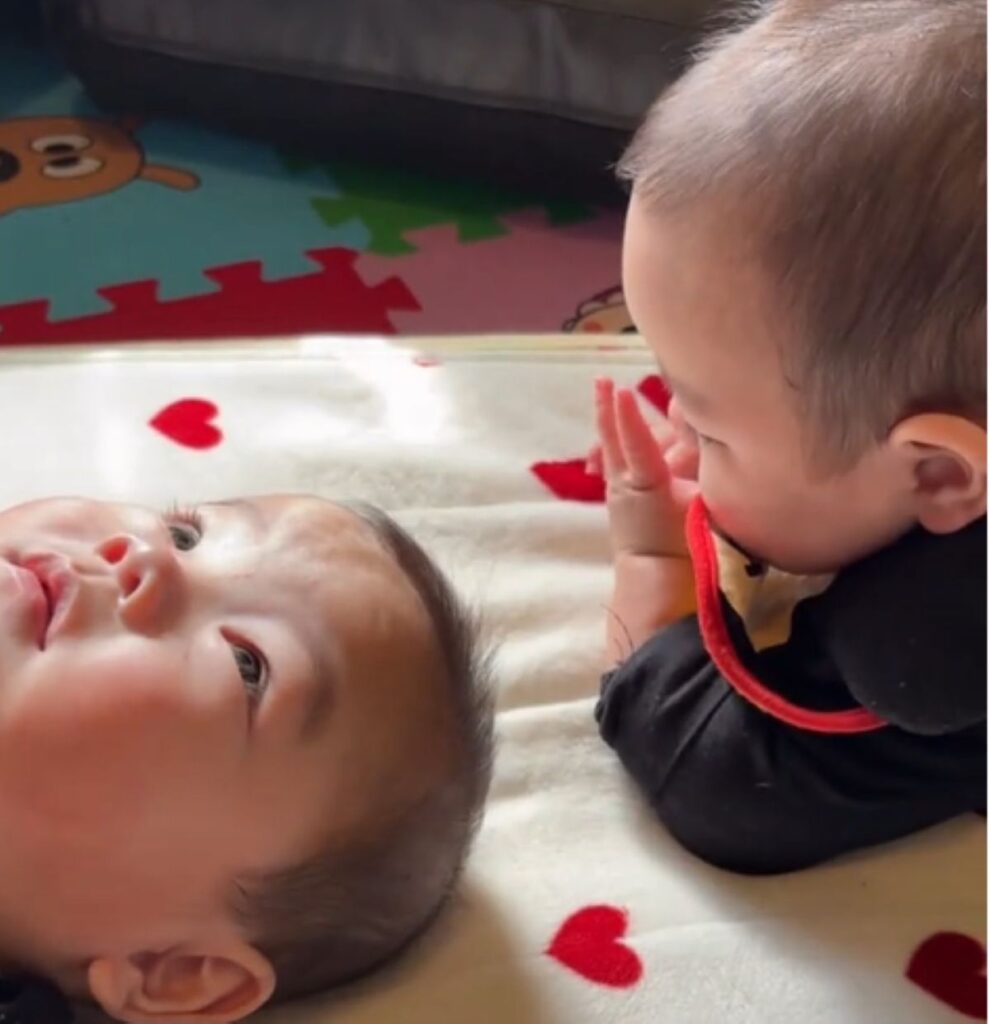 見つめ合う2人（＠pichuuu_27さんより提供）