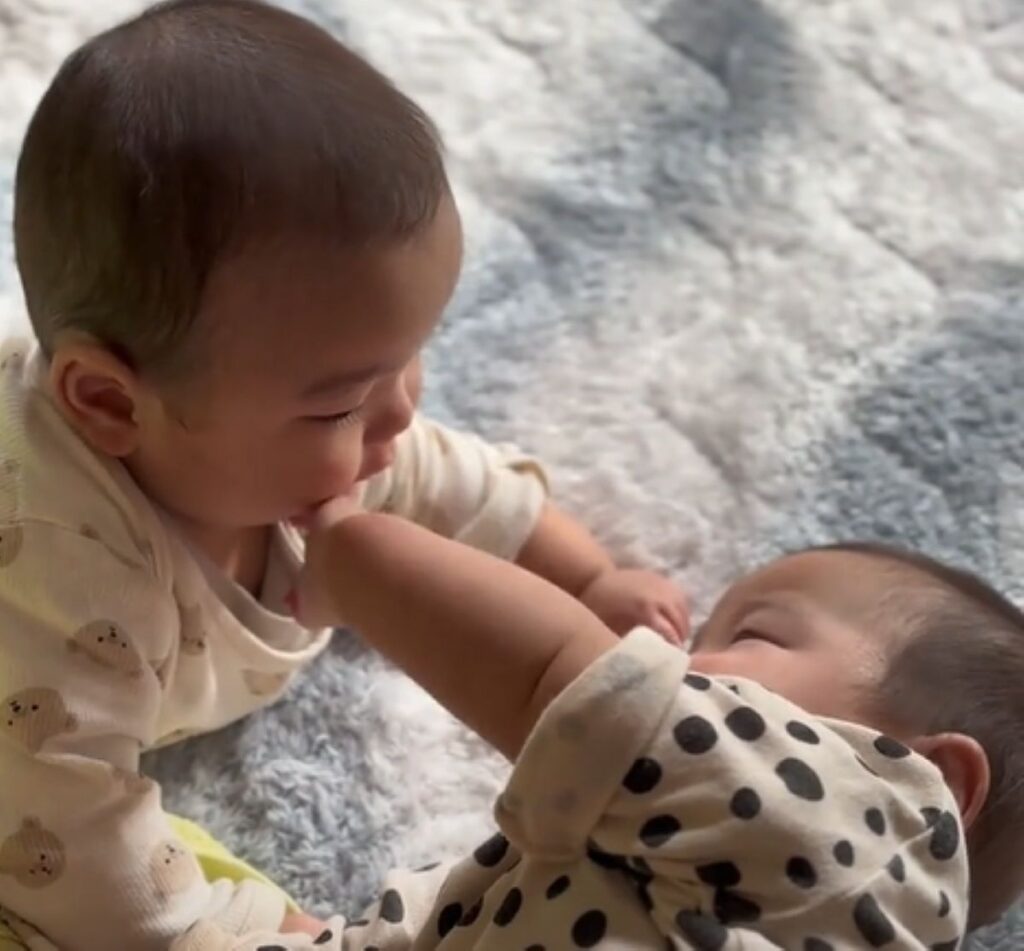 お互いが気になる様子（＠pichuuu_27さんより提供）