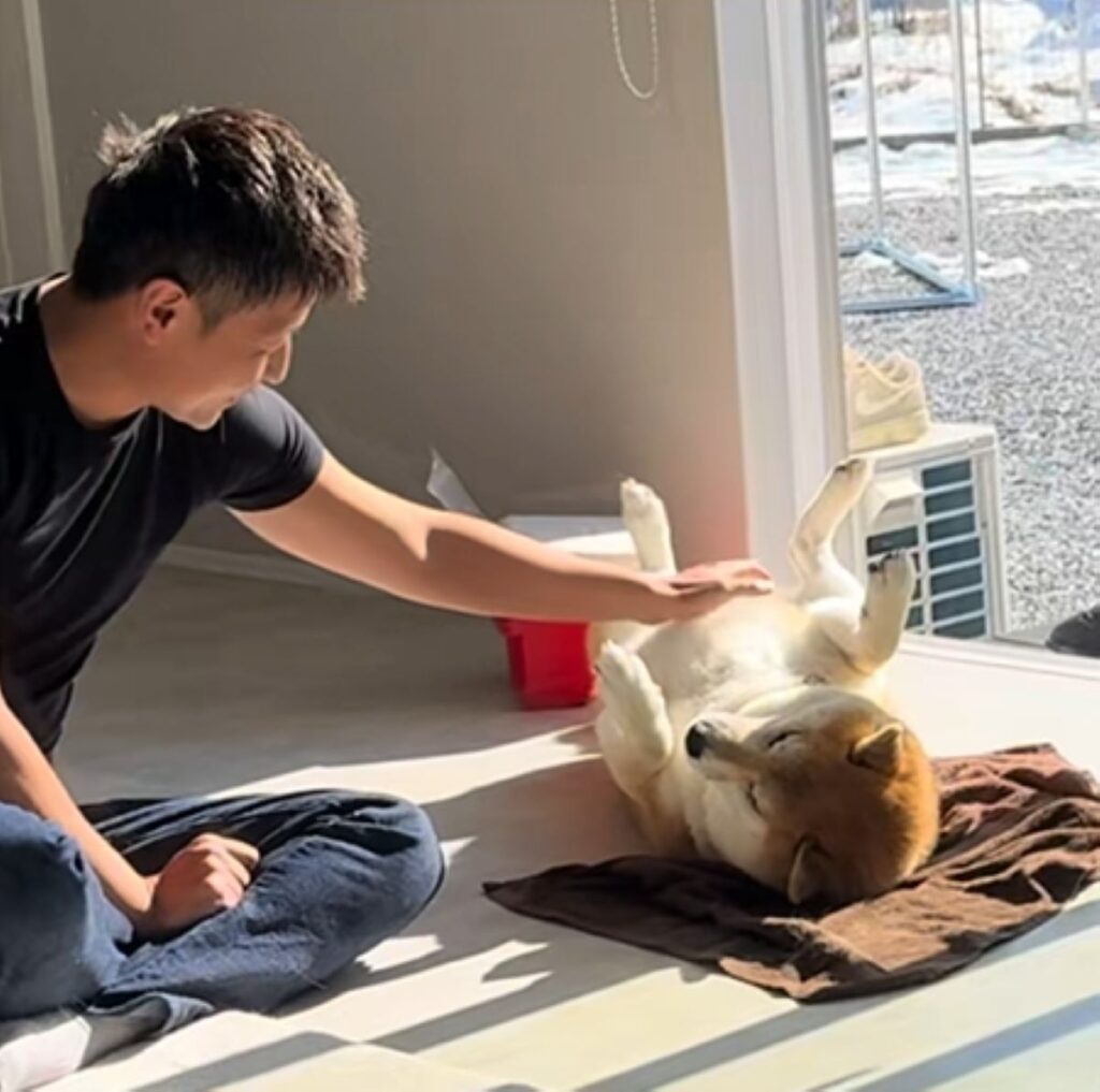 パパさんの休日を満喫するおもちくん（＠mochigomebrothersさんより提供）