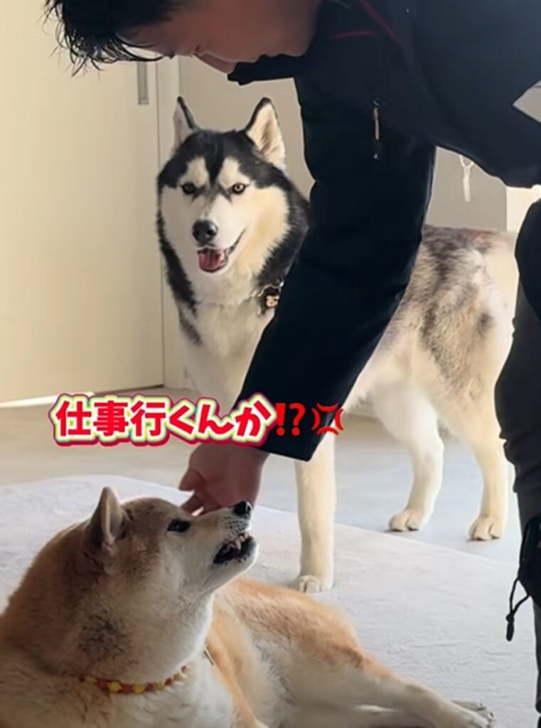 【実際の写真5枚】　パパが見た光景