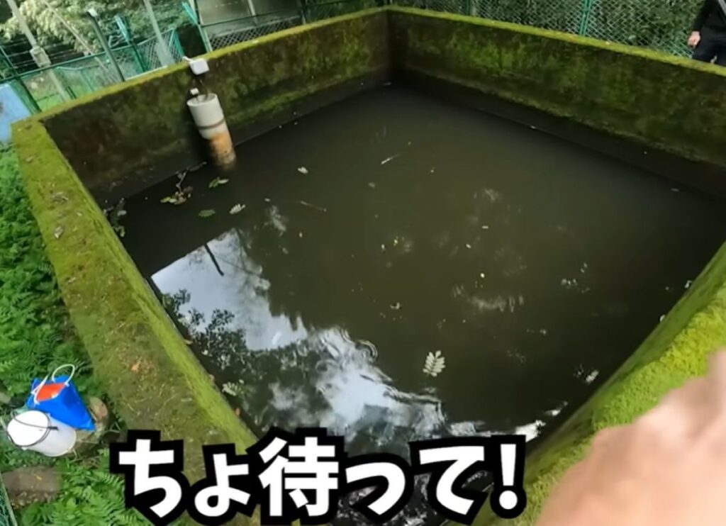 ため池で釣れたのは…（@marsy-catchinghuntingさんより提供）