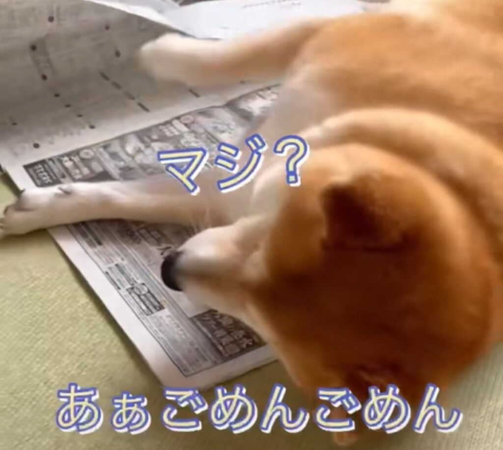 「ごめんごめん」と言っているかのよう（＠happinessboy0104さんより提供）