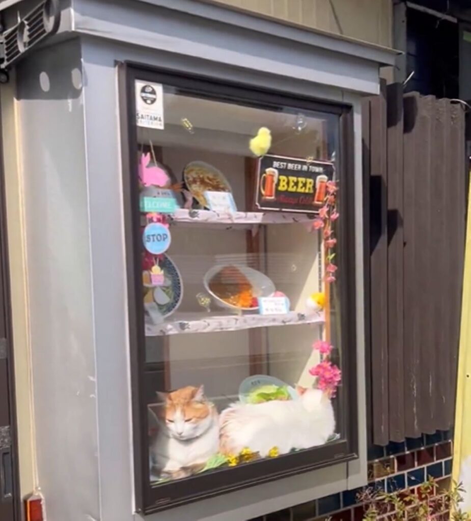 【実際の写真5枚】　投稿者さんが見た光景