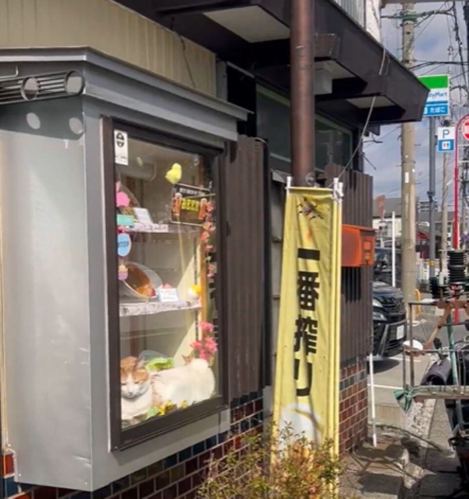 お店の外のディスプレイ（@oomurapetakonさんより提供）