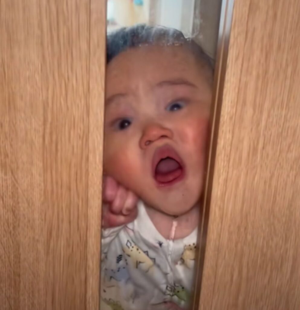 顔を押し付けています（＠yuto.m3366さんより提供）