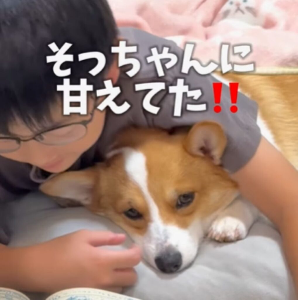 息子さんに甘えるココちゃん（＠coco_tanu_familyさんより提供）