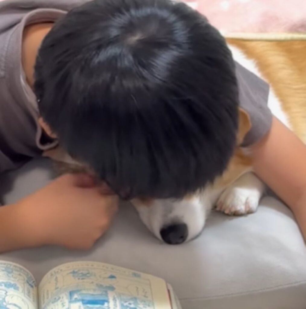 ココちゃんに顔を近づける息子さん（＠coco_tanu_familyさんより提供）