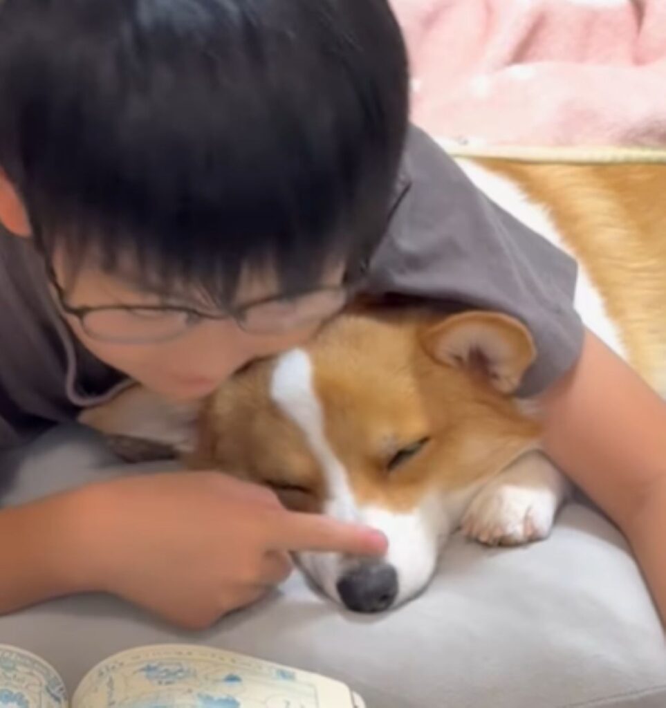 優しく鼻をなでます（＠coco_tanu_familyさんより提供）