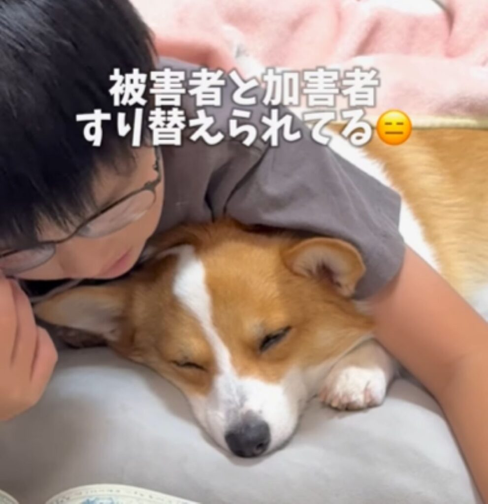 【実際の写真5枚】　ママが見た光景