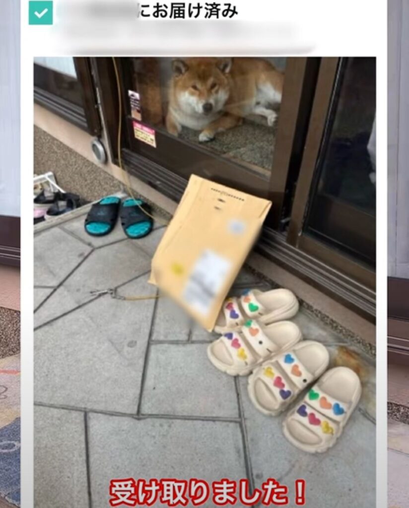 【実際の写真5枚】　配達員さんが見た光景