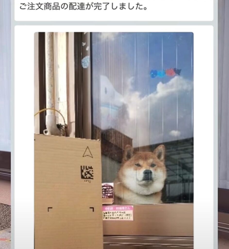 バッチリ写っています（＠oimo0815さんより提供）