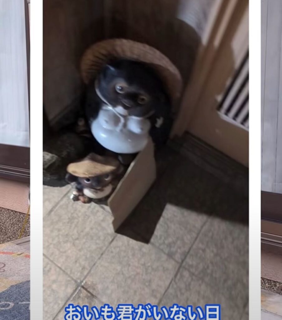 おいも君がいない日もあります（＠oimo0815さんより提供）