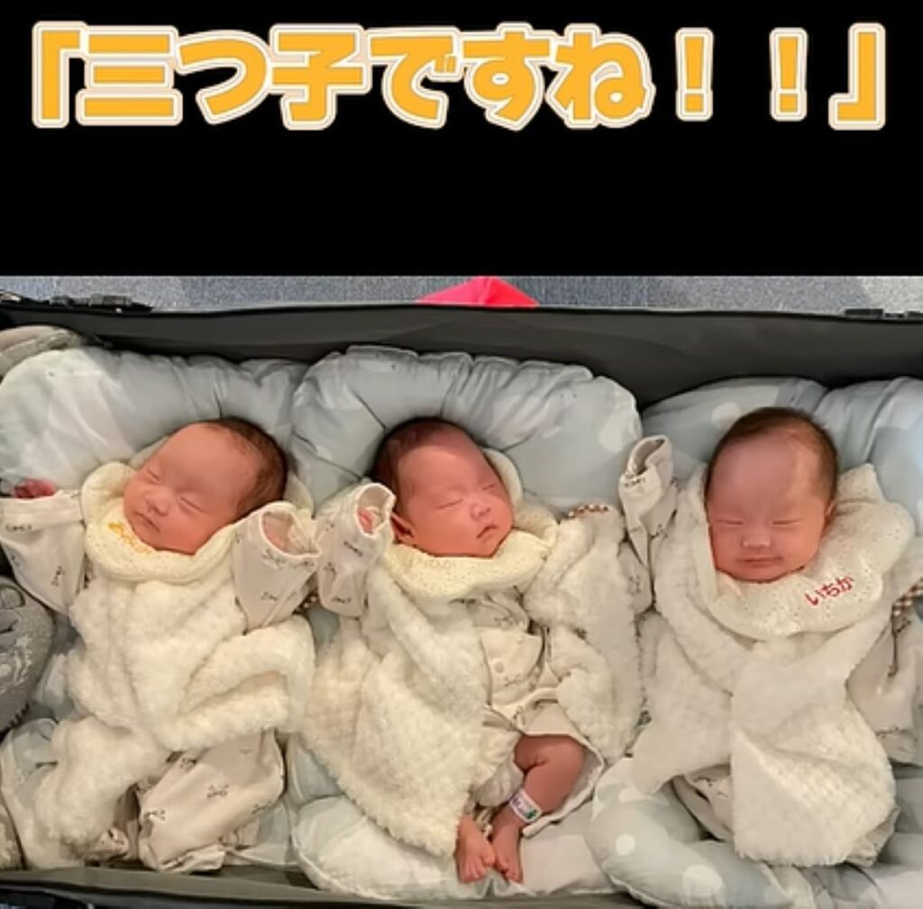まさかの三つ子（@uruhanafamilyさんより提供）