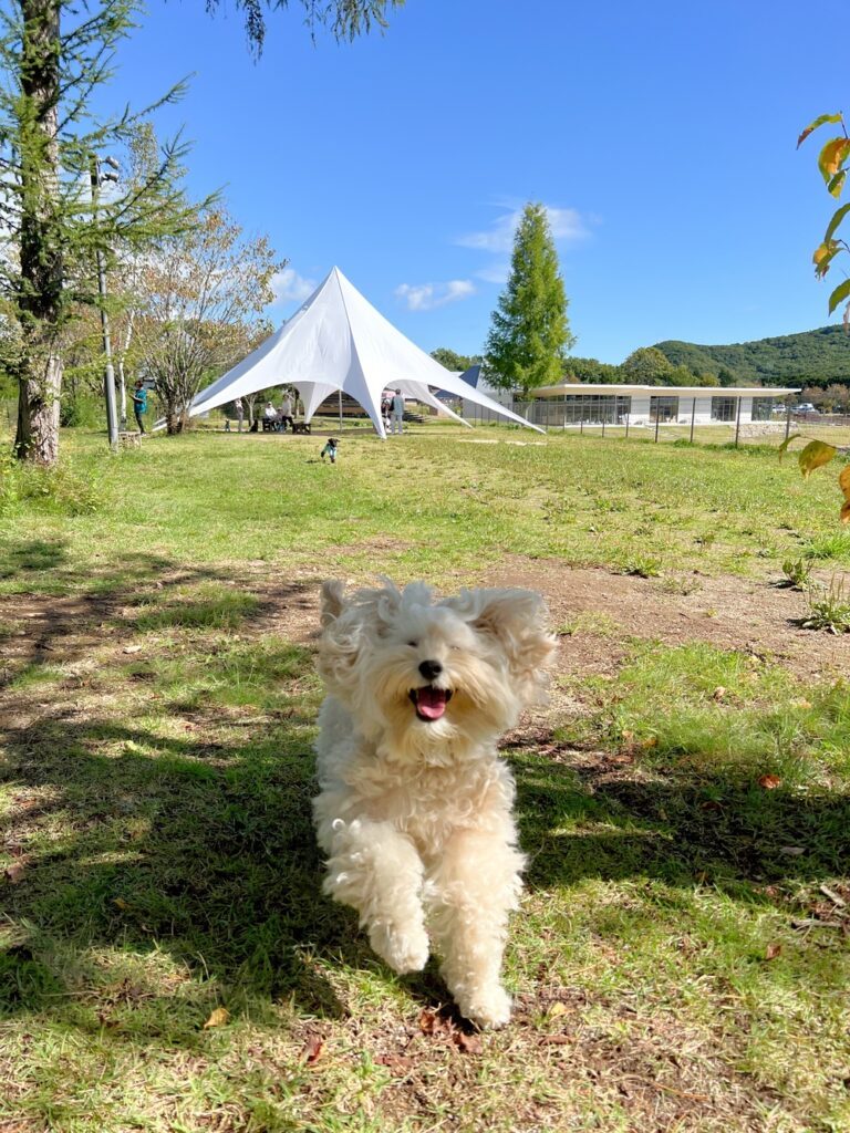 何気ない日常を大切に（@kamamama24さんより提供）