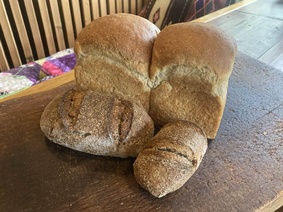 麦芽粕粉で焼いたパン「リモルト」