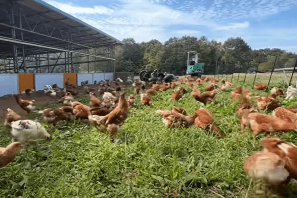 【実際の写真8枚】　数時間後の様子