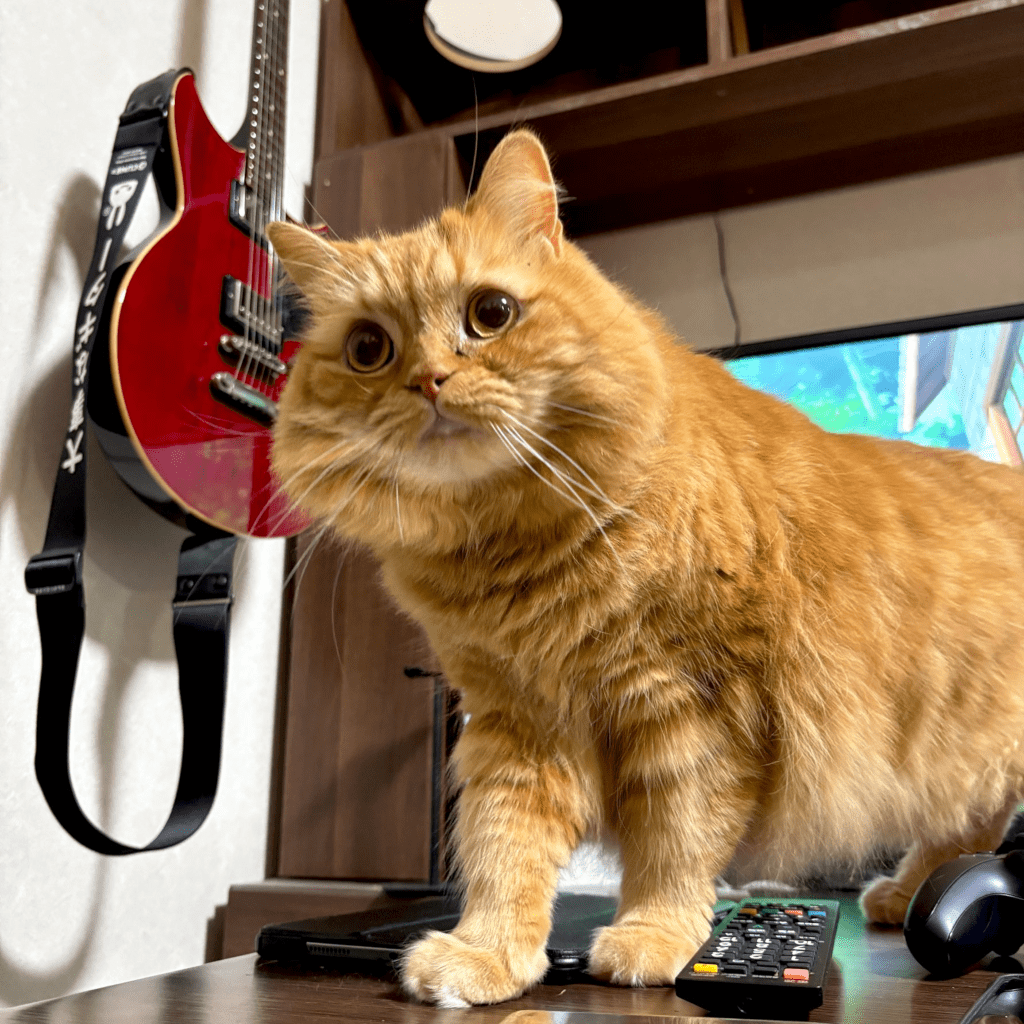 【実際の写真10枚】　飼い主さんが見た光景