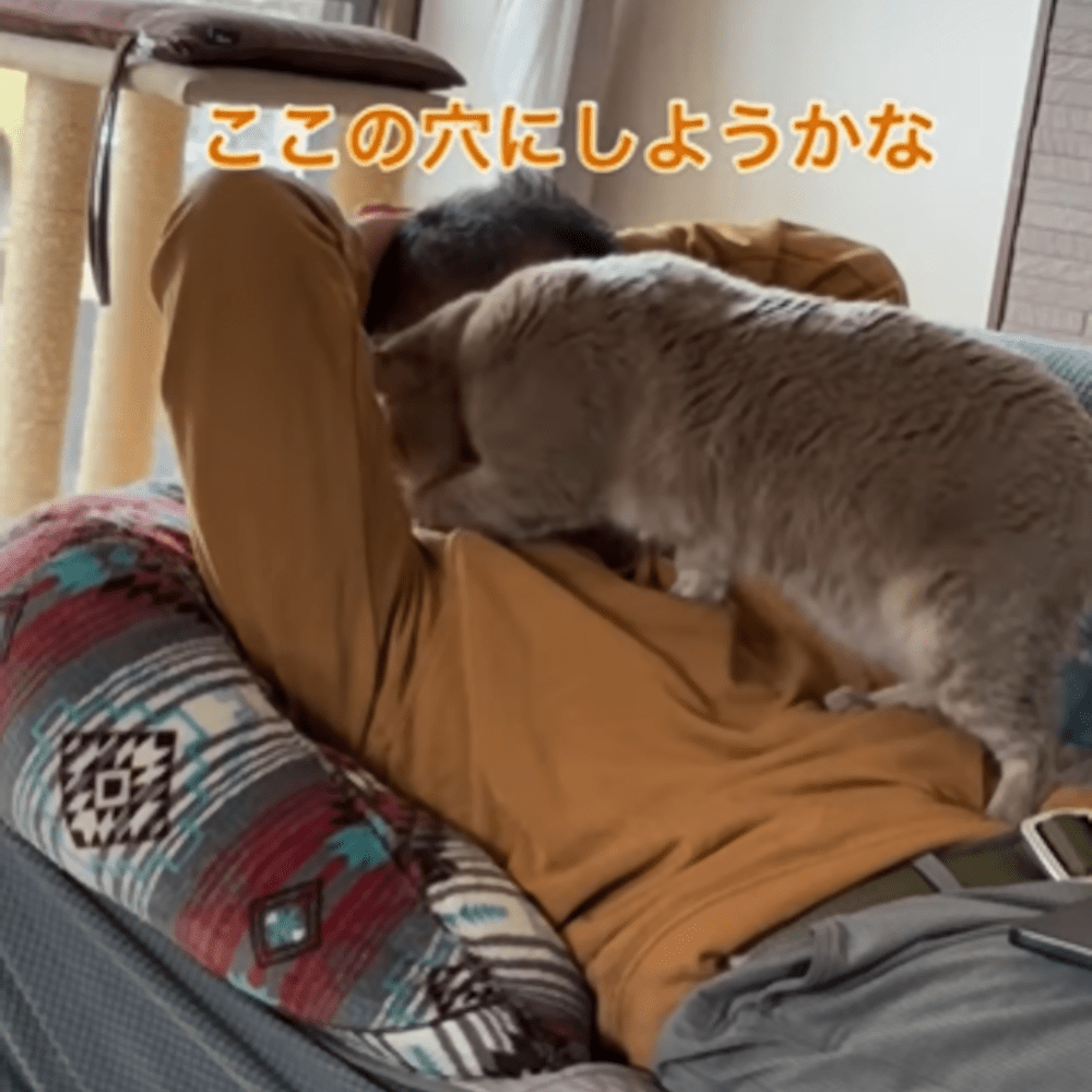 【実際の写真７枚】　投稿者さん見た光景