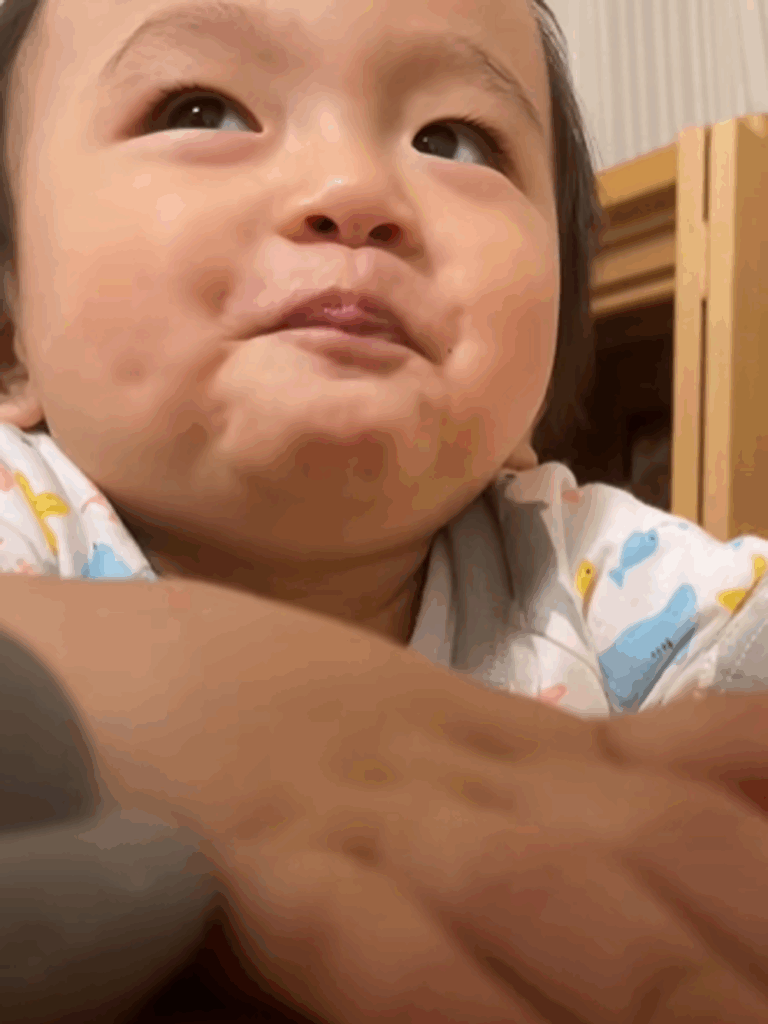 【実際の写真6枚】　ママが見た光景