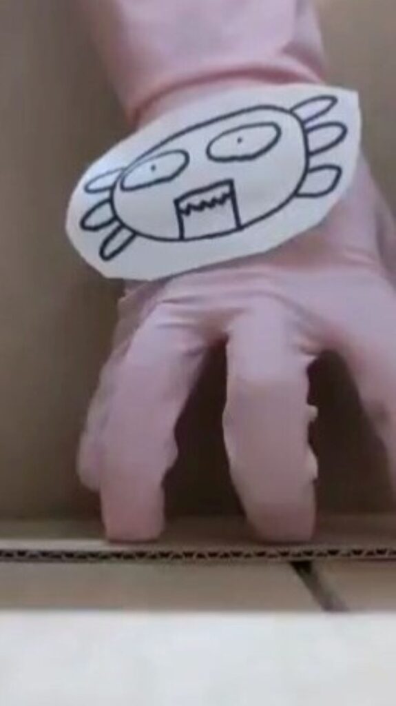 ウーパールーパー④（投稿者さんから提供）