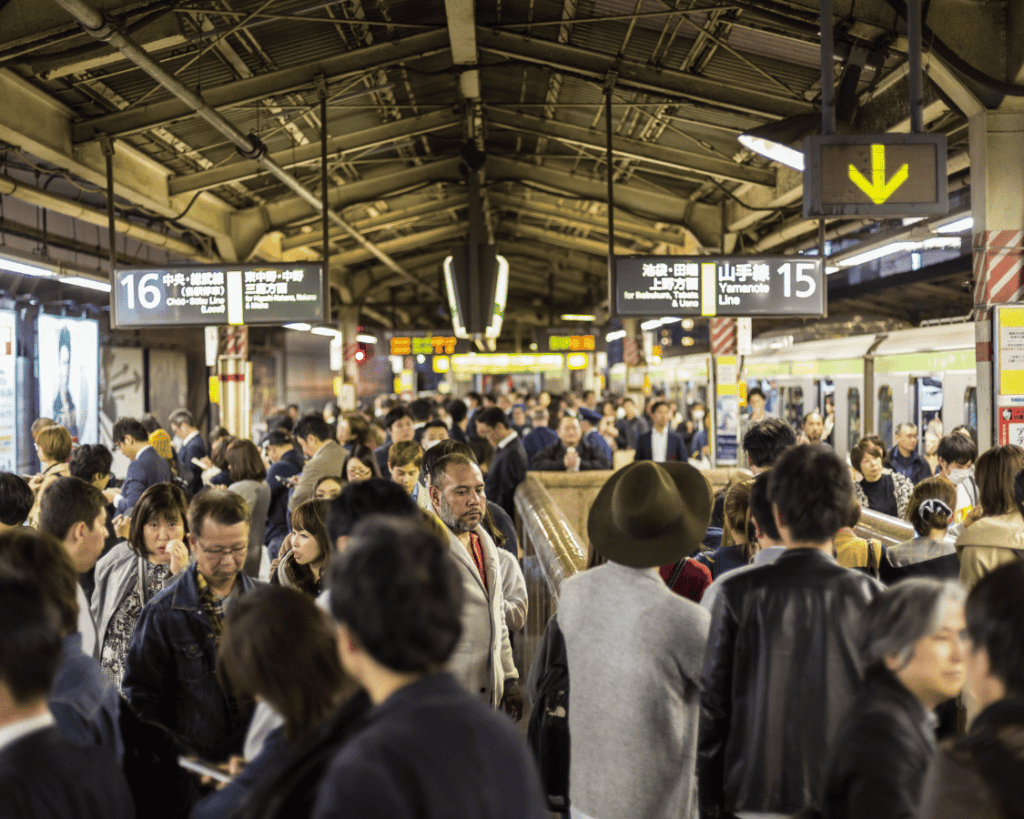 【イメージ写真3枚】　エミリーさんが見た光景