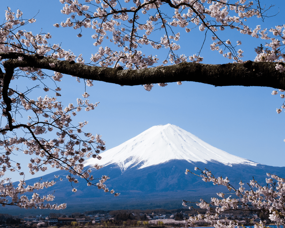 寒暖差の激しい気候
