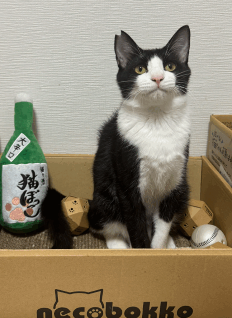 【実際の写真5枚】　３か月後の様子