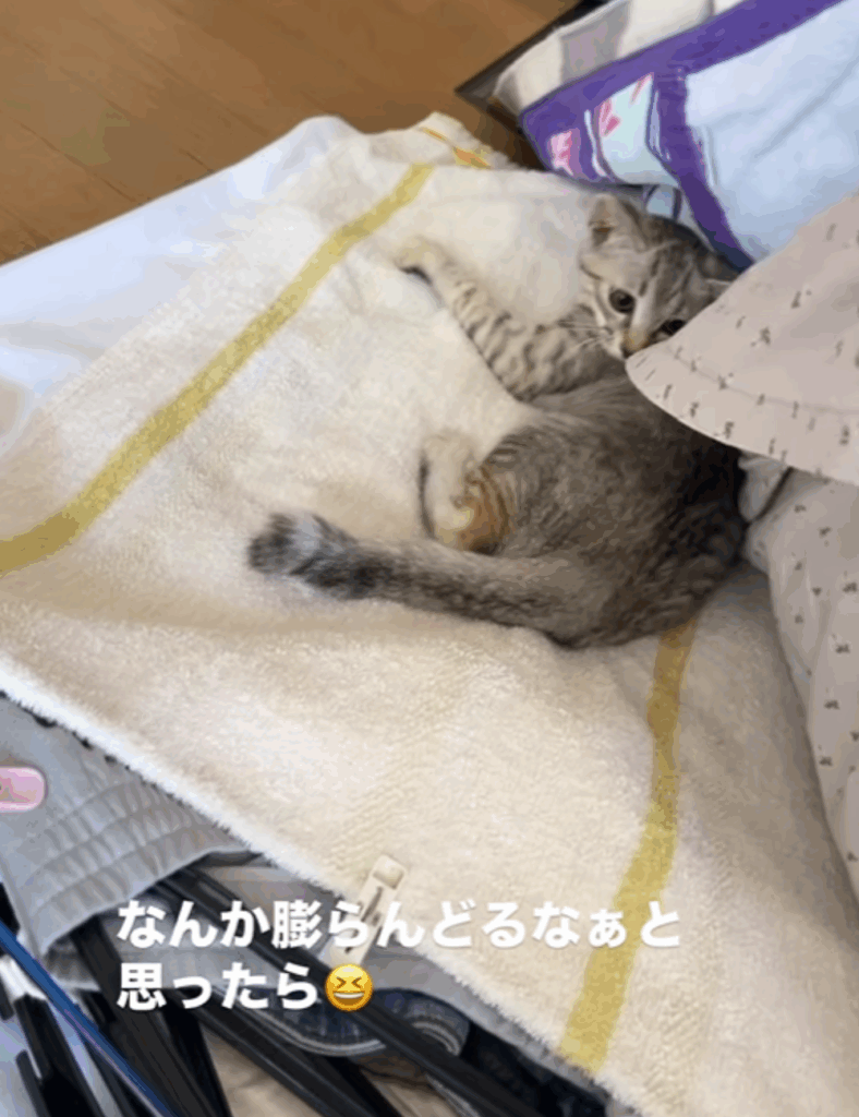 いたー！（@momemama0328さんより提供）