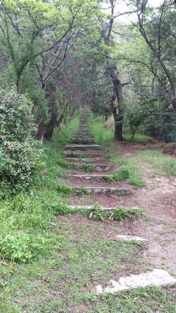 【実際の写真4枚】　息子からの返信