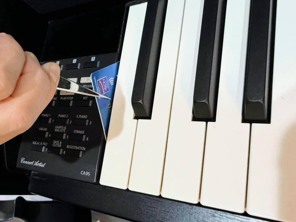 【実際の写真】　発見された場所