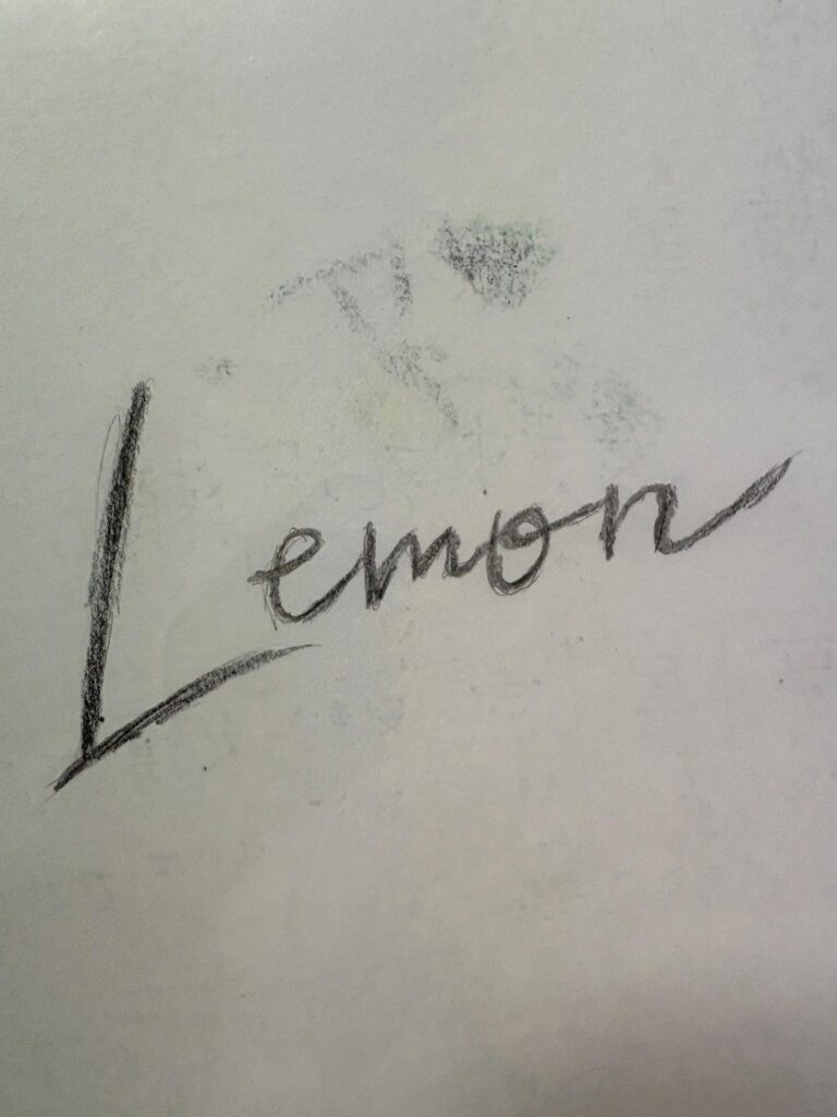 【実際の写真】　自由研究の内容