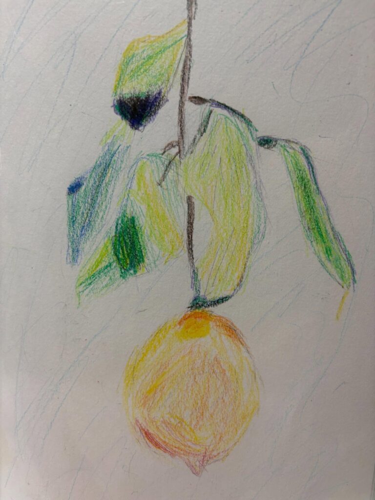 息子さんの自由研究②（＠mii925さんより提供）