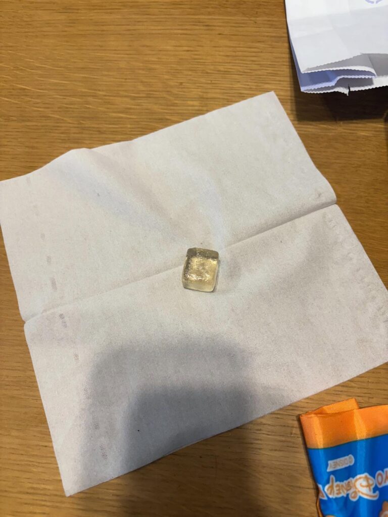 洗濯機から出てきたもの（＠mina.satollllloさんより提供）