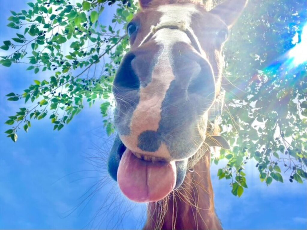 おちゃめな一面も（@misaki_nagatsuさんより提供）