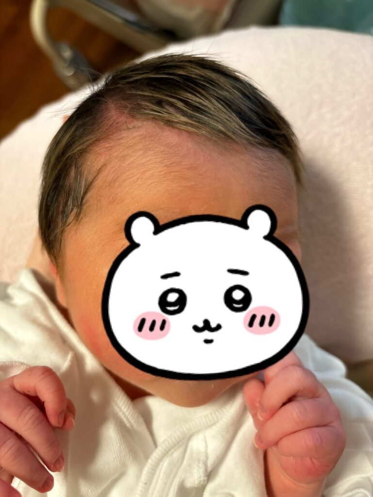 【実際の写真5枚】　現在の様子