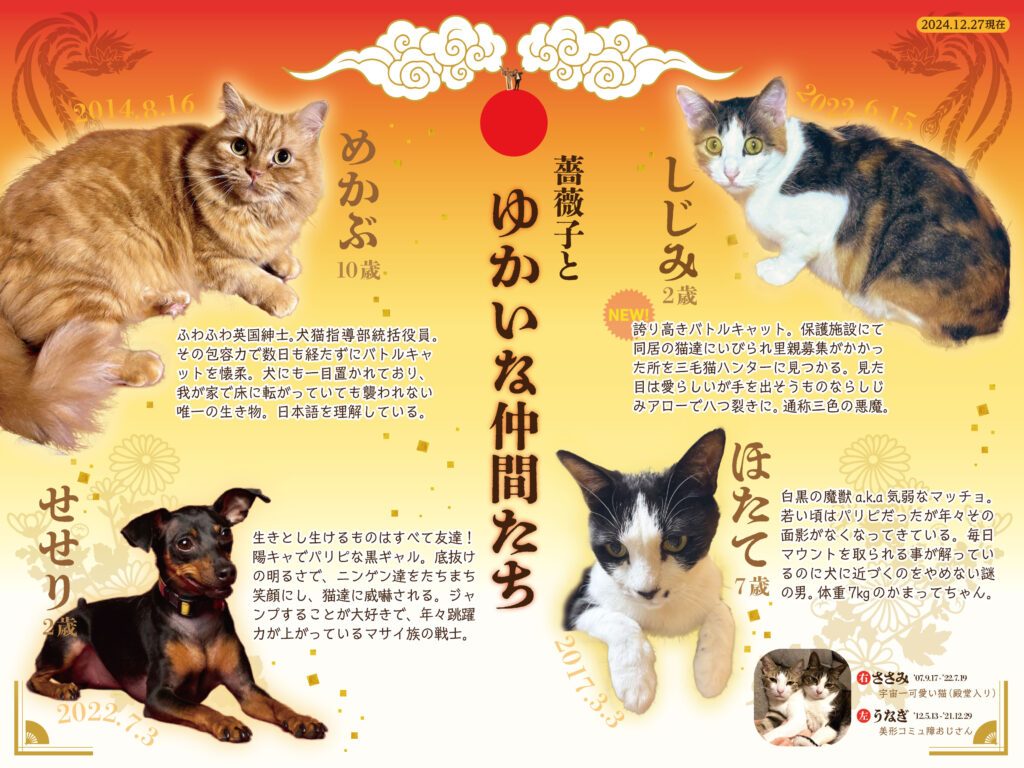 ゆかいな仲間たち一覧（@vallacoさんより提供）