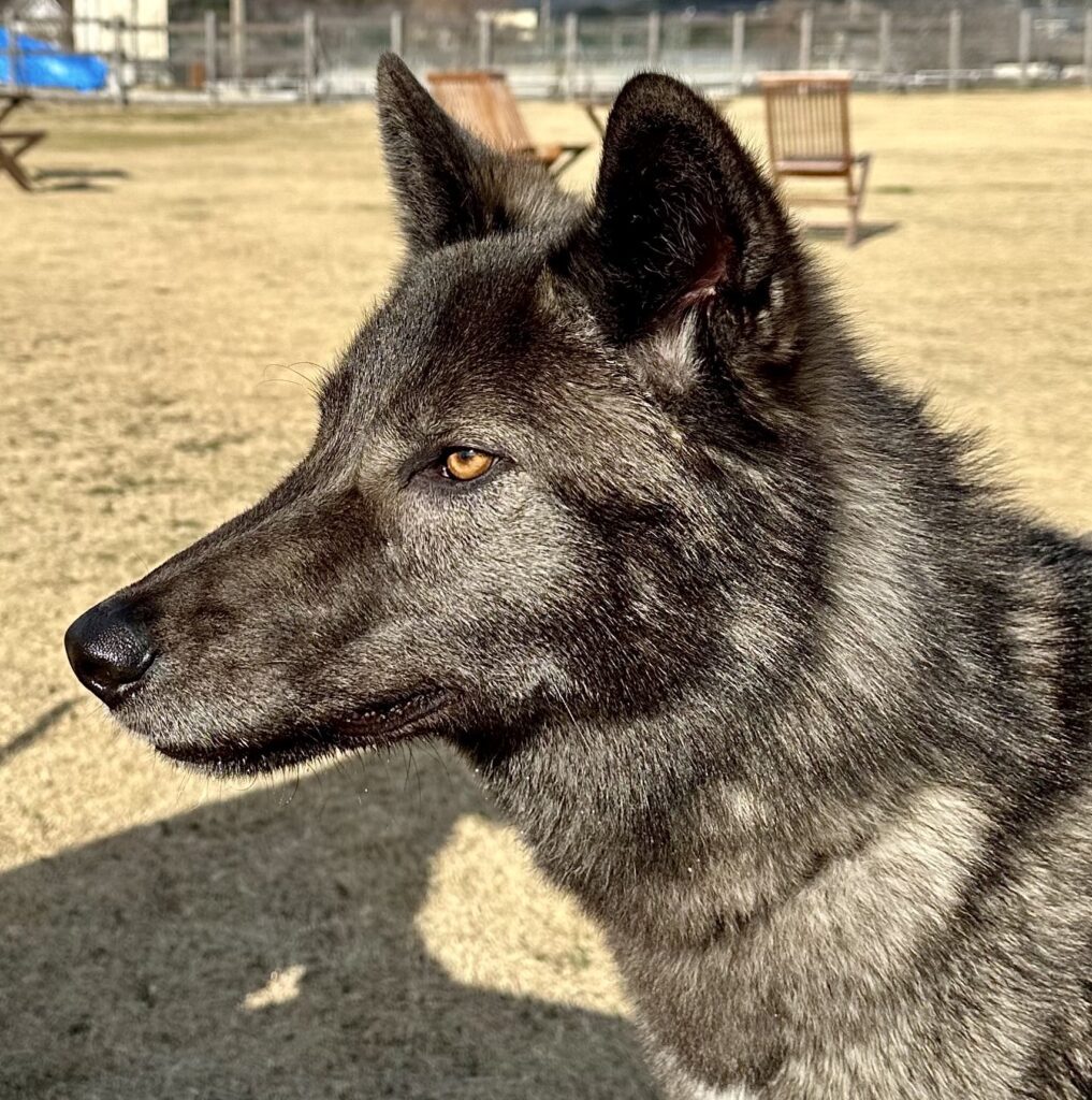 【実際の写真6枚】　１年半後の姿