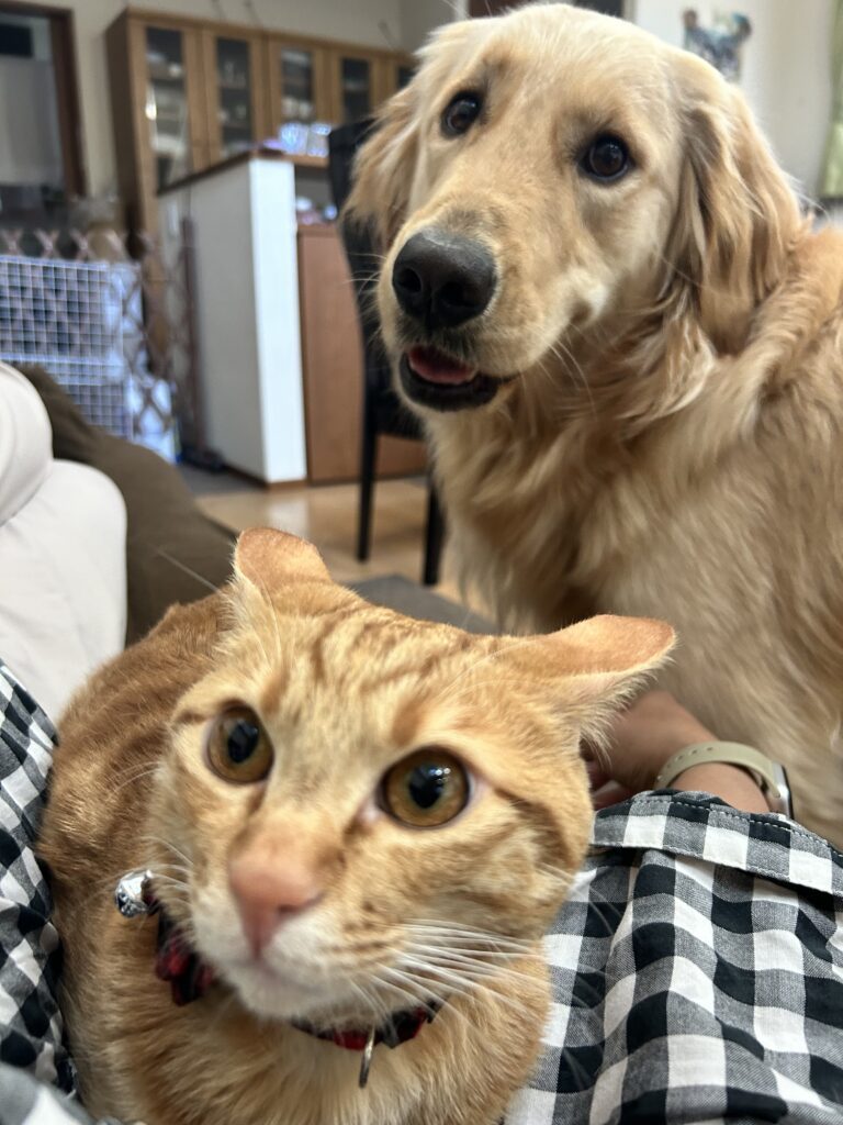 普段の様子④（＠carlon_____さんより提供）