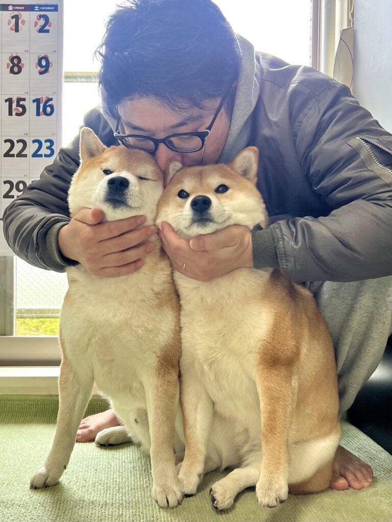 仲良く成長する2匹（@shibamugi28さんより提供）