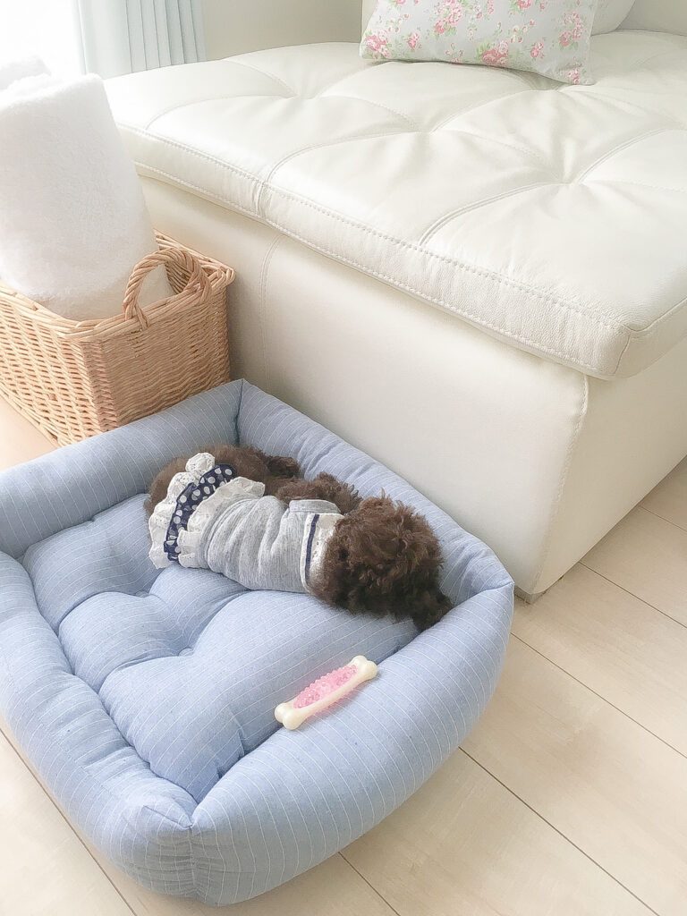 【実際の写真5枚】　９年後の様子