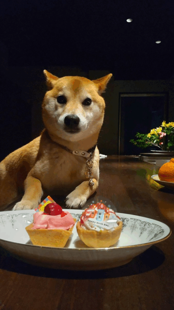 お誕生日だった卯月ちゃん（@barmokurenさんより提供）