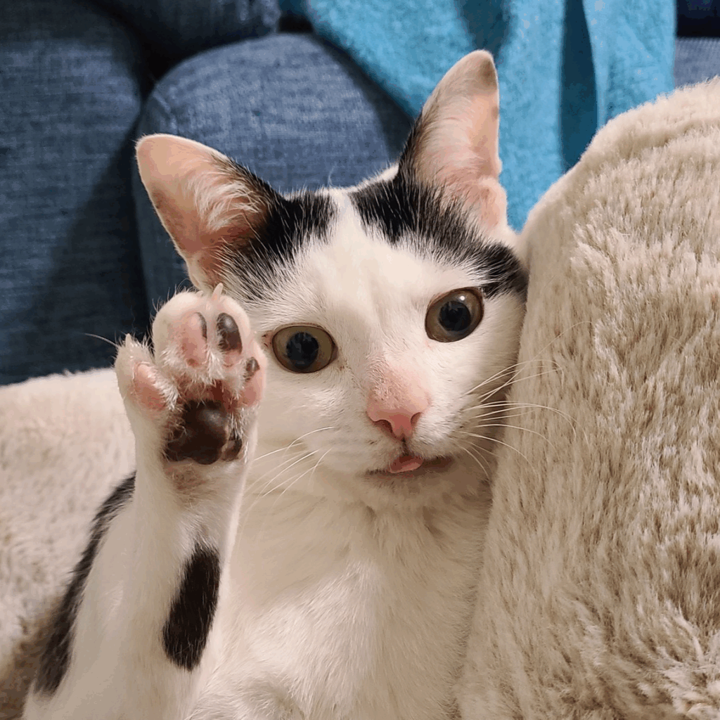 それじゃ、またね！（@KomoChiboさんより提供）