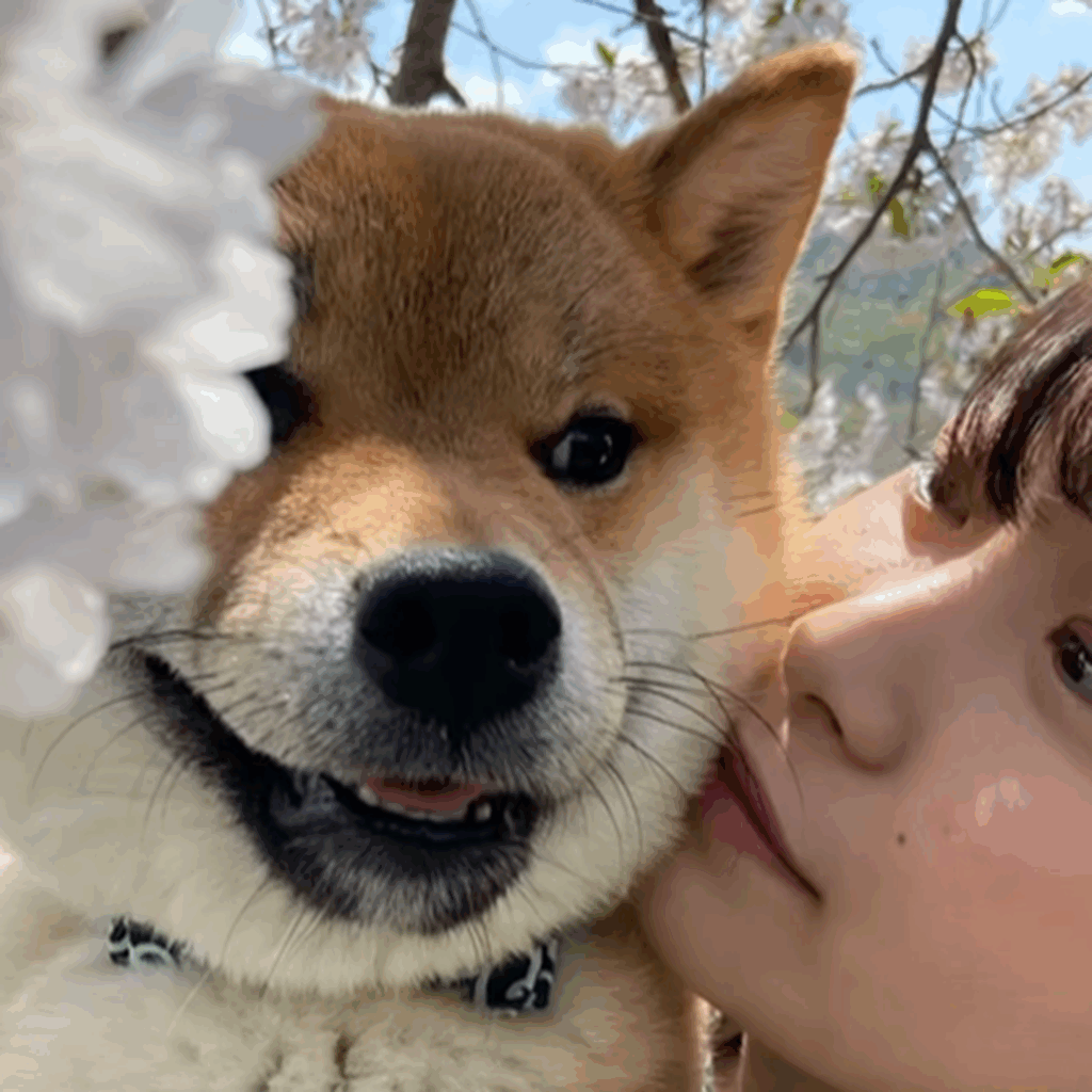 楽しかったね（@kumamaru_desuさんより提供）