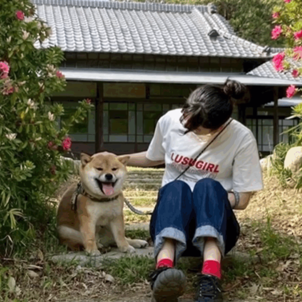 ちょっと休憩～（@kumamaru_desuさんより提供）